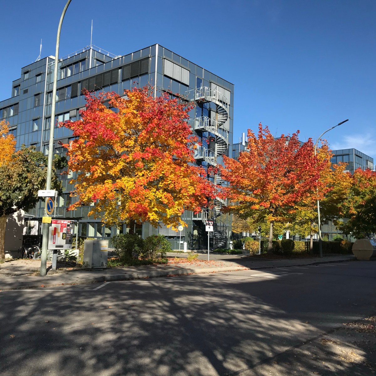 Quyền Sử Dụng trong Sở Hữu Công&nbsp;Nghiệp